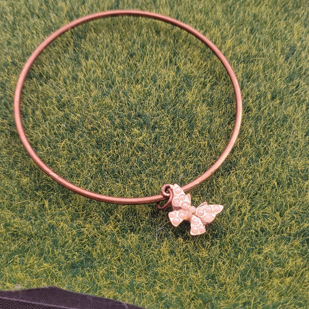 Butterfly Charm Bracelet B3402
